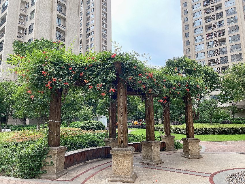 网站实景图-01.jpg